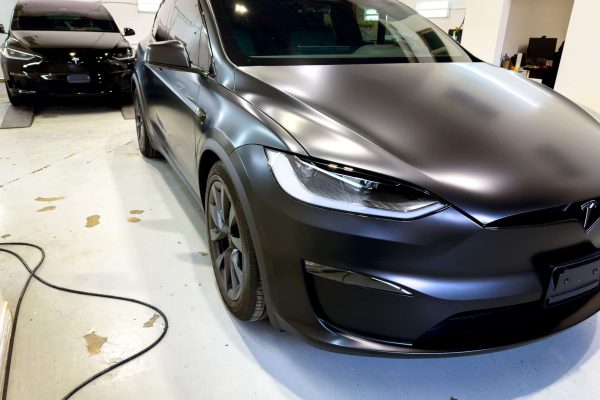 model x colour ppf install